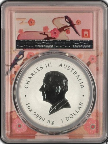 PCGS MS70 2025 Australia Double Phoenix Ag Vivid Color 1oz Silver Coin - Picture 2 of 2
