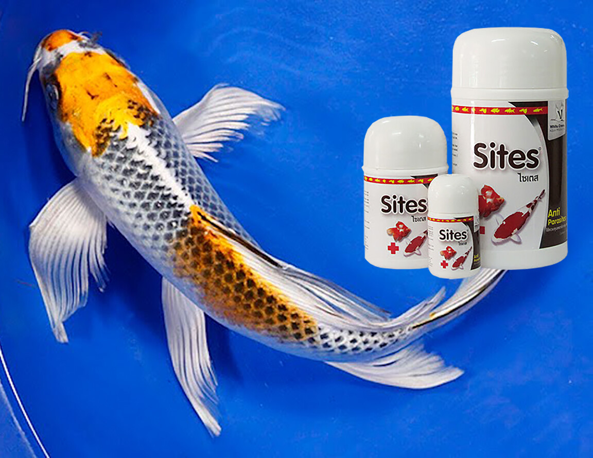 Sites Anti Parasite Fish Treat Louse Anchor Worm Flukes White Spot KOI GOLDFISH eBay