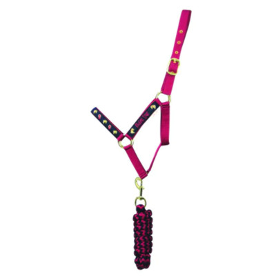 Little Rider Riding Star Collection Kopfhalsband & Führstrick Set