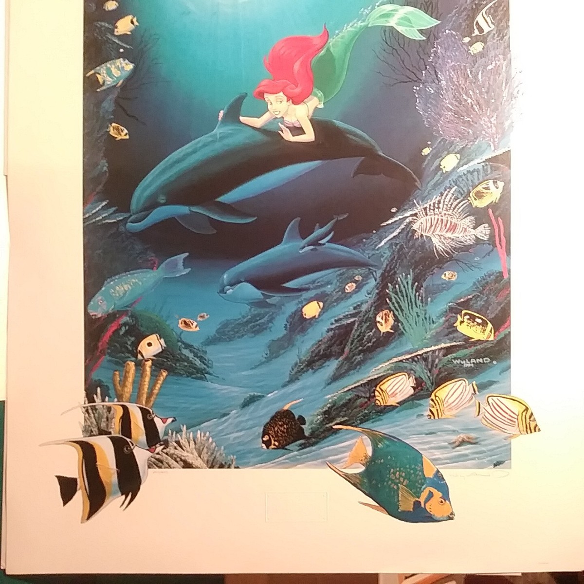 The Art of THE LITTLE MERMAID アート本　ディズニー Amazon | The Art of the Little Mermaid: A Disney Miniature