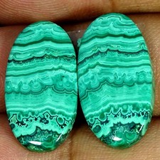 31.00Cts RARE Natural Green Malachite Pair Oval Cabochon Gemstone 13X24X4MM