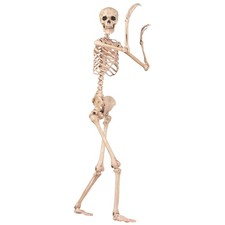 Spooky Skeleton for Indoor Outdoor