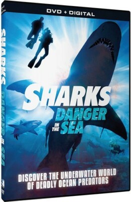 その他 Sharks [DVD] Amazon.co.jp: Sharks [DVD] [Import] : DVD