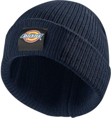Dickies 22 Evadale Logo Beanie Navy 