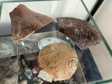 Lot of mid 16th Century Early Bellarmine Fragments, Cologne + Frechen