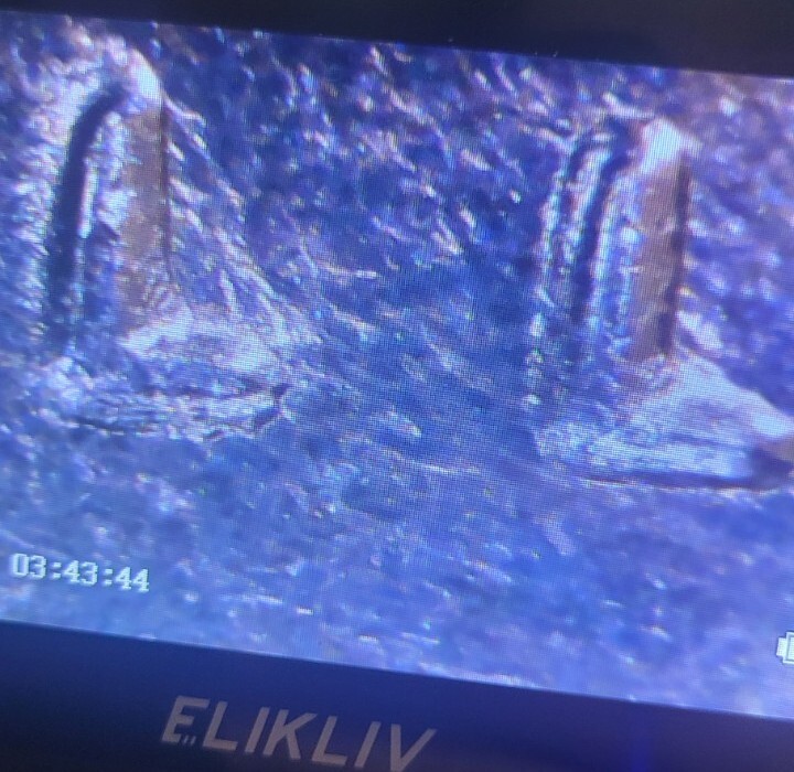 Picture 8 of 13