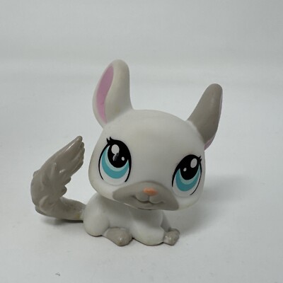 Littlest Pet Shop LPS #1401 White And Grey Chinchilla Hasbro | eBay