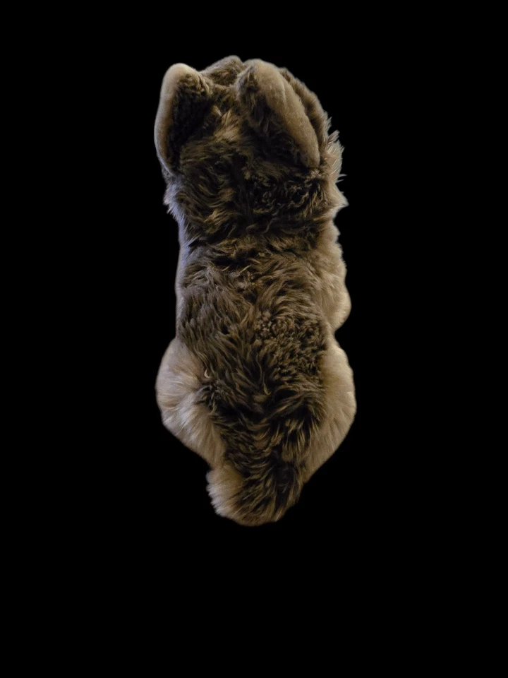 WEBKINZ - Signature Timber Wolf Plush WKS1008 GANZ Rare - Image 3 of 4