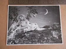 A midsummers Night Dream   matt printed image    please scroll down