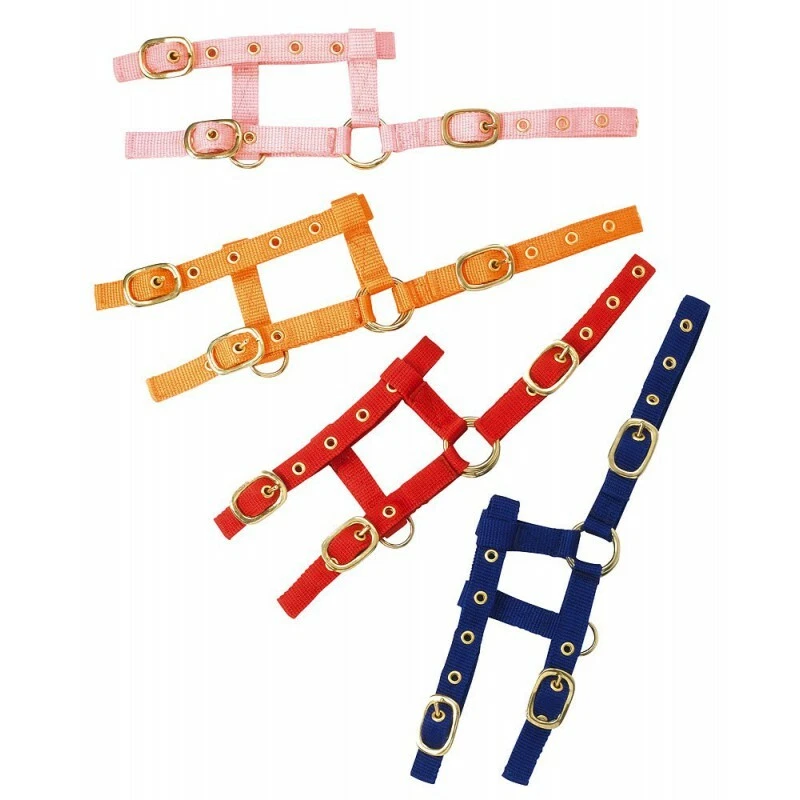 Fohlenhalfter für Mini Shetty und Shetty extra klein  Viele Farben DHL- Versand - Bild 4 von 4