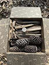 7 lb Georgia Fatwood Fire Starter With 16 Pine Cones, Chez Jones
