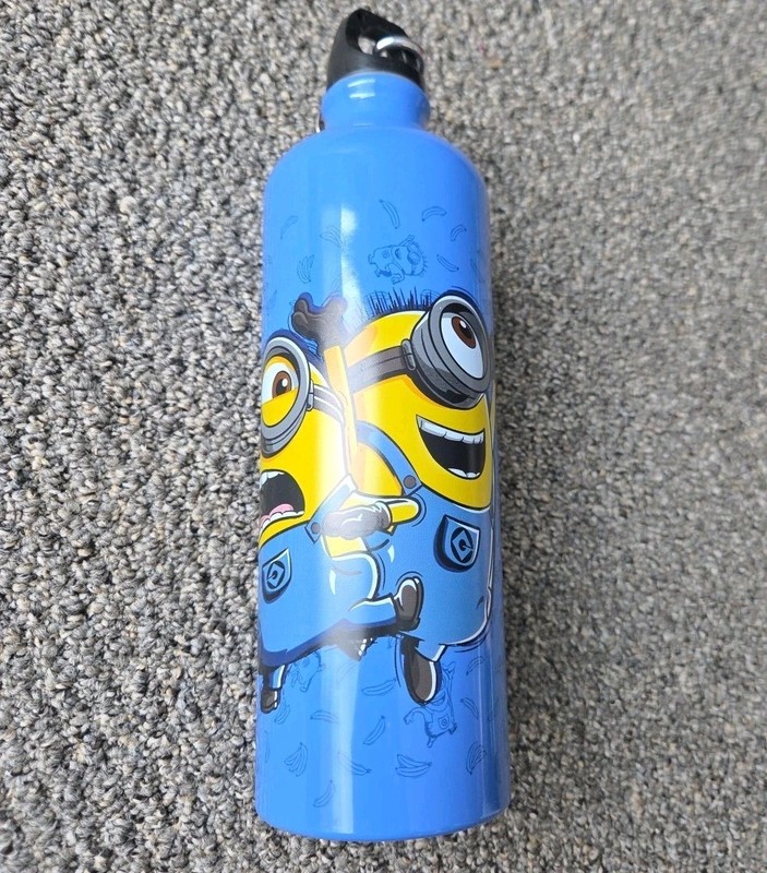 Despicable Me Minions Metal Water Bottle Blue 750ml With Carabiner