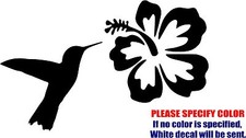Vinyl Decal Sticker - Hummingbird Hibiscus Flower Car Truck Bumper JDM Fun 12"