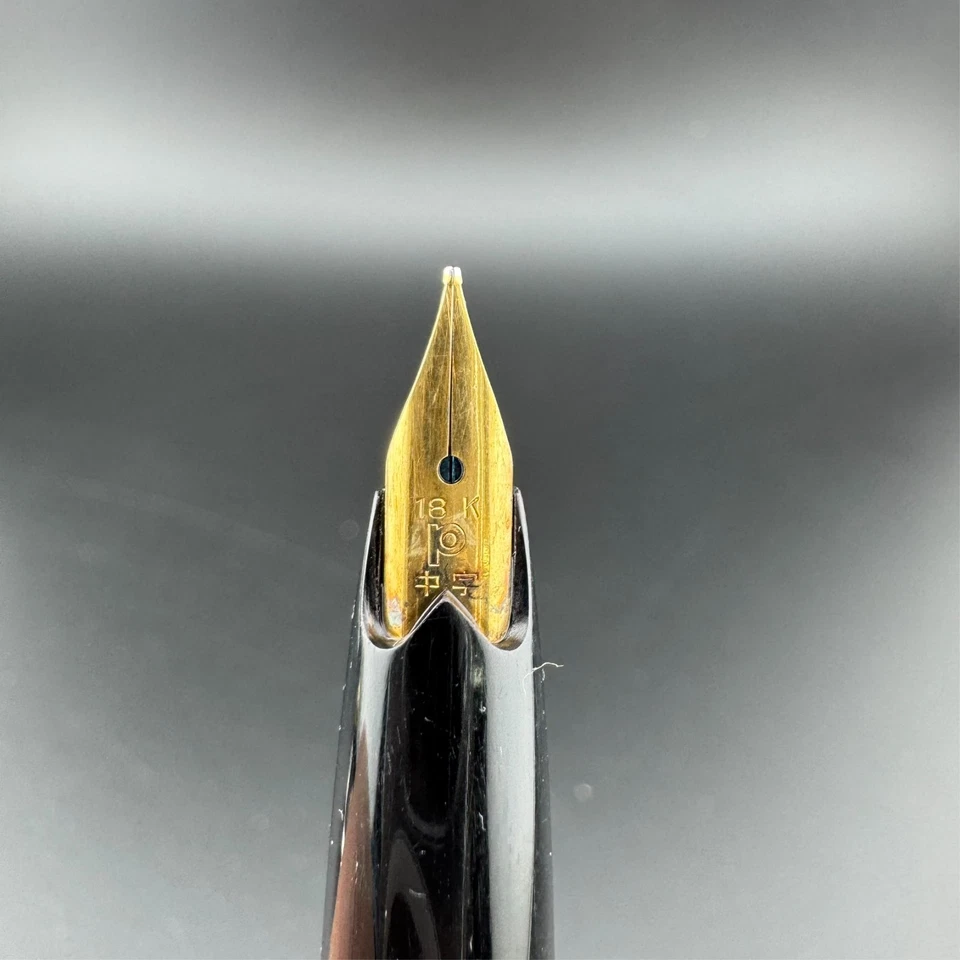 Pluma Estilográfica de Bolsillo Platino Oro 18K Plumín Mediano Foto 2 de 4