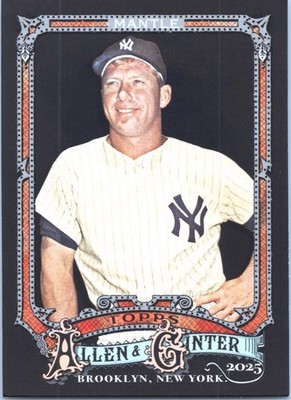 2025 Topps Allen & Ginter X - Complete Your Inserts