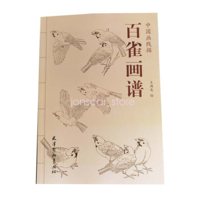 Sparrows Drawing Sketching Manuscript Sheet Tattoo Flash Book Reference