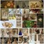 funtreasurefinds