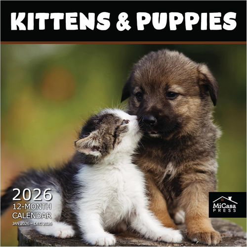 Kittens & Puppies | 2026 Wall Calendar 12 Month | 12” X 24” Open ...