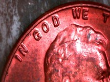  on The Hot Collector