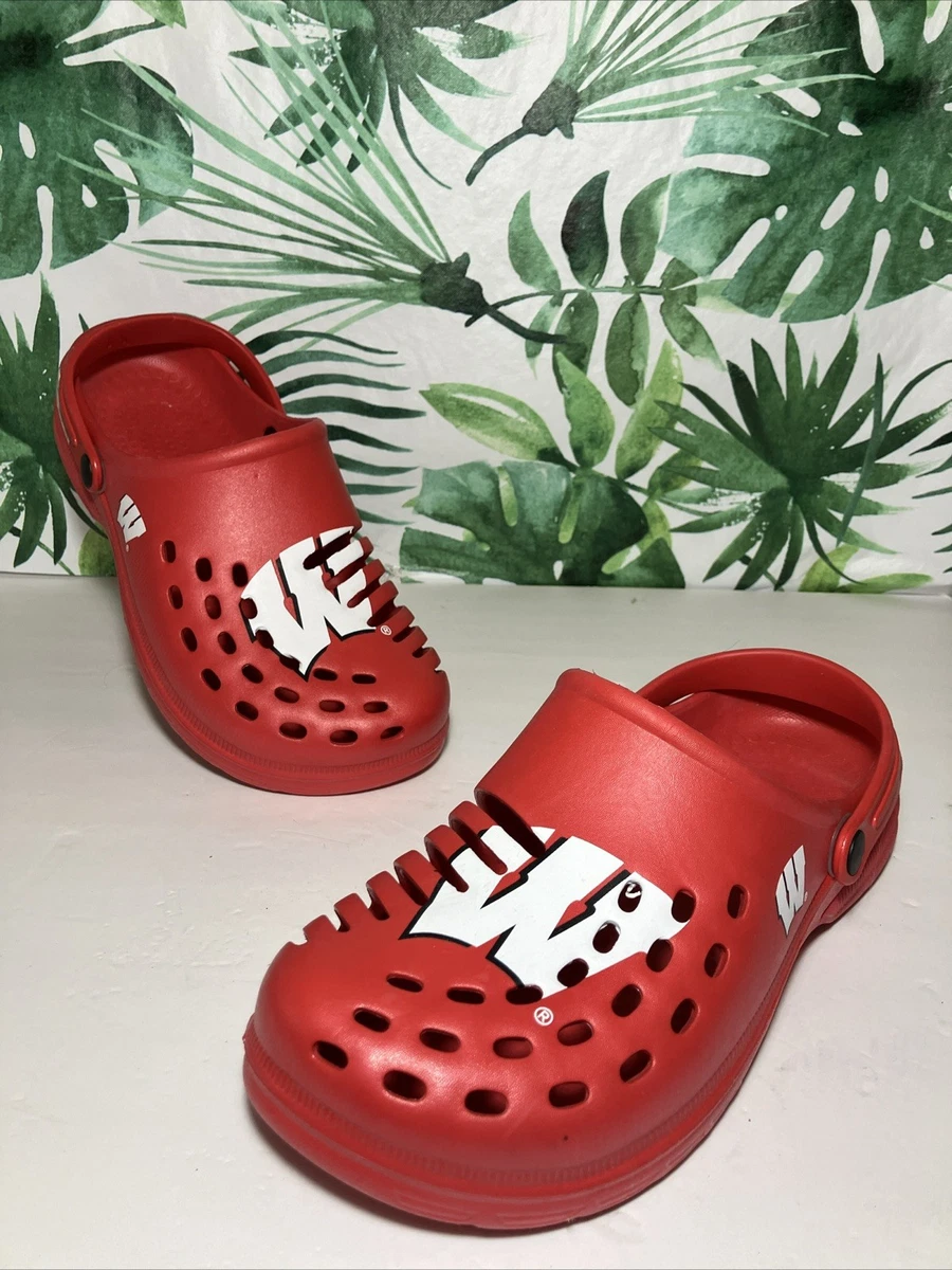 Men Wisconsin Badgers NCAA Shoes for sale | eBay display picture 3
