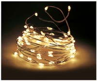 Led Leucht Draht - 100 Led - Lichterkette Fernbedienung Timer Dimmer AußEn Deko