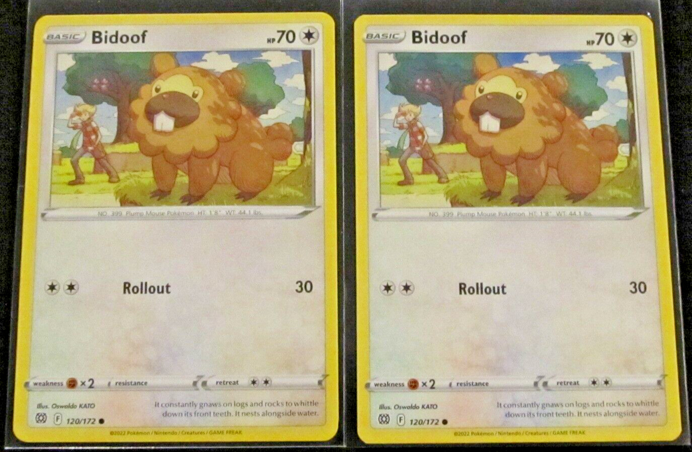 2 POKEMON CARD TCG/BIDOOF/120/172/COMMON/2022/COLLECTIBLE