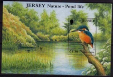 Jersey 2000 Pond Life min. sheet fine fresh MNH