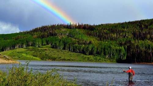 Ninfas bala de vidrio amarilla Sally II - Moscas premium de pesca con mosca trucha - Imagen 15 de 24