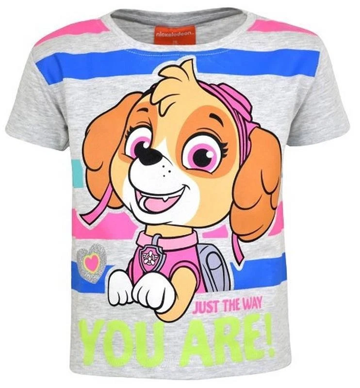 PAW Patrol T-Shirt Mädchen Skye  Gr.104 (4 Jahre) grau - Bild 1 von 2