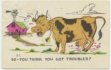 So You Think You Have Troubles Cow Vintage Postcard Humor Comedy Chrome
