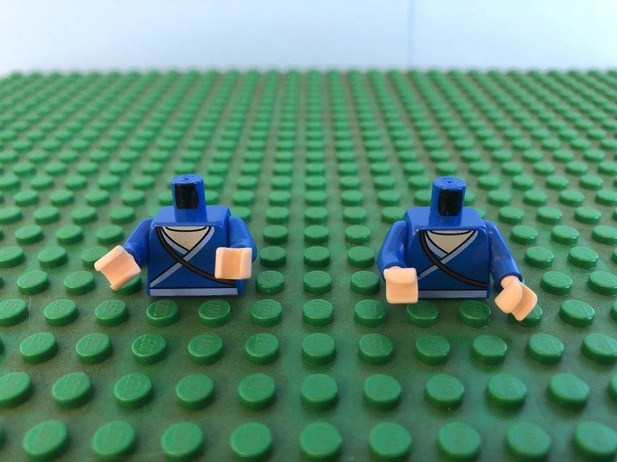 LEGO Avatar The Last Airbender ava007 Katara Minifigure Torso Only Lot