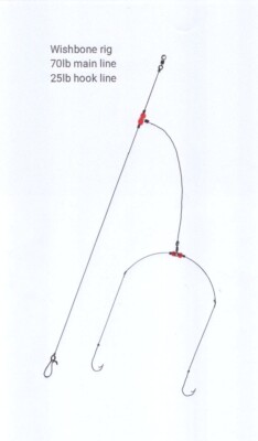 4 X Meeresangeln Circle Zwei Haken Querlenker Rig 2/0 
