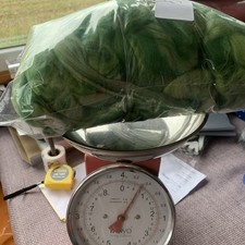 felting wool bundle Green Mix Of Colours 271g Mix Uk Made