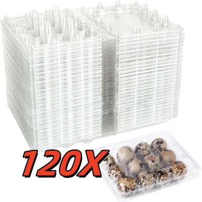 120x Wachteleierverpackung 12er Bruteier Eier Wachtel Verpackung - NEU - Bild 1 von 4