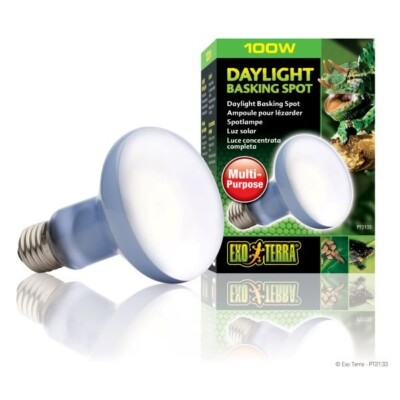 EXO TERRA DAYLIGHT BASKING SPOT LAMP - R25 - 100 WATT - PT-2133