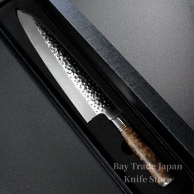 Japanese Saji Takeshi Hammered SG2 Super Gold 2 Gyuto Chef Knife 240mm Japan
