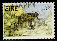 IRELAND QEII SG969, 1995 32p Natterjack toad, FINE USED