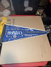 Washington Mystics Inaugural Season Pennant