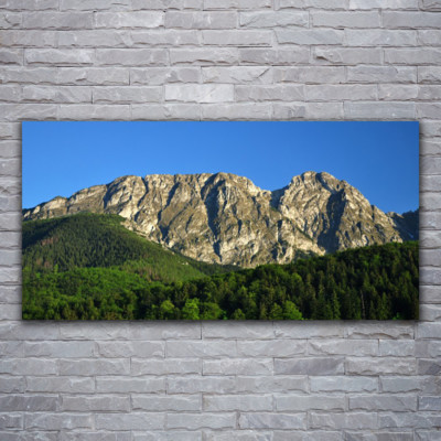 Acrylglasbilder Wandbilder Druck 120x60 Gebirge Wald Natur