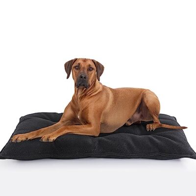 Chewproof Beds Chew Safe Dog Bed MABOZOO Indestructible Dog Beds