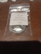 Diamond Rock Genetics