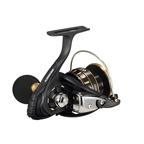 Daiwa Spinning Reel SW 5000D-CXH 23 BG Ambidextrous | eBay