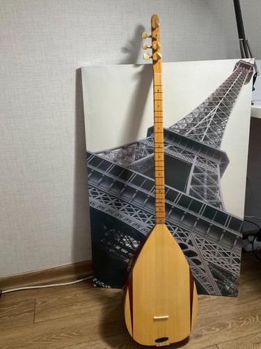 instrument sazs