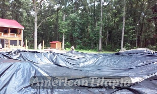 Pond liner 30 Mill -HDRPE 20x20 Custom Shaped Landscape Ponds,Strong,Durable - Picture 24 of 24