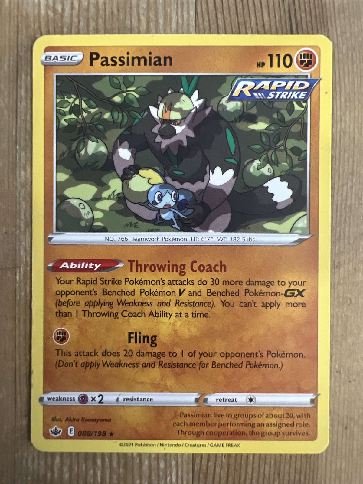 Passimian