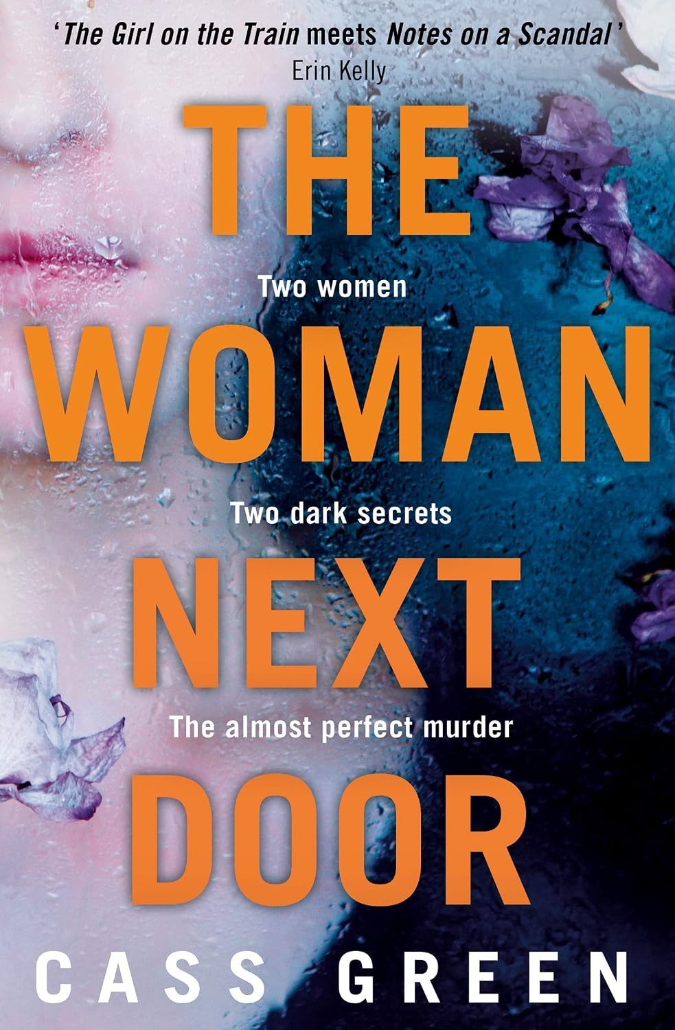The Woman Next Door by Cass Green (Paperback, 2016) - Image 3
