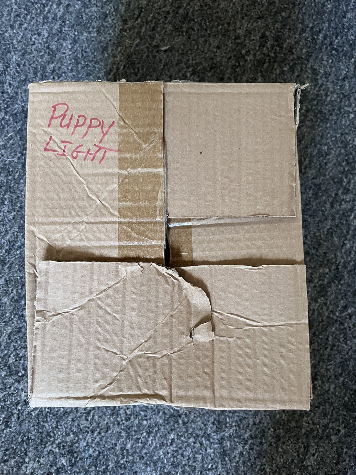 Infrared Heat Lamp Poultry, Puppies, Dog Kittens Piglets Animals With