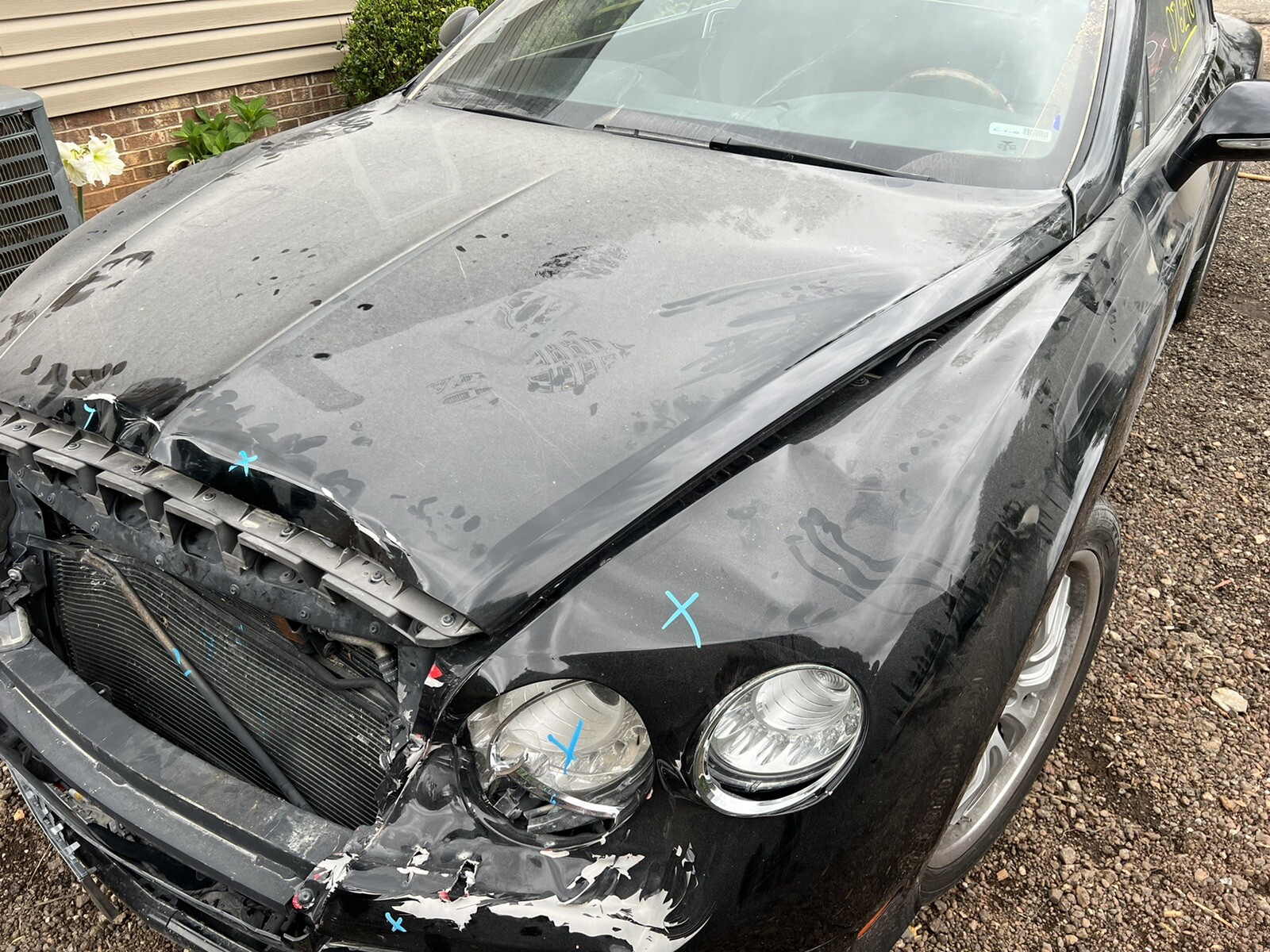 2012 Bentley Continental GTC Hood