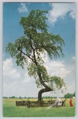 #ad Indian Trail Marker Tree Postcard SOHIO Standard Oil Upper Sandusky Chrome $3.99