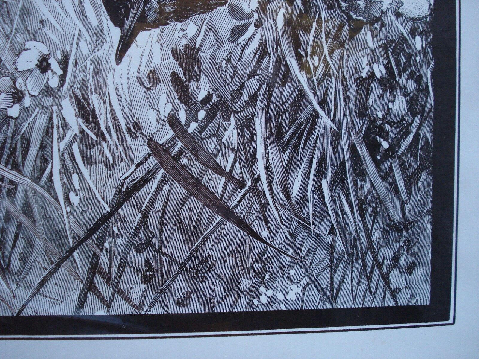 Picture 12 of 12